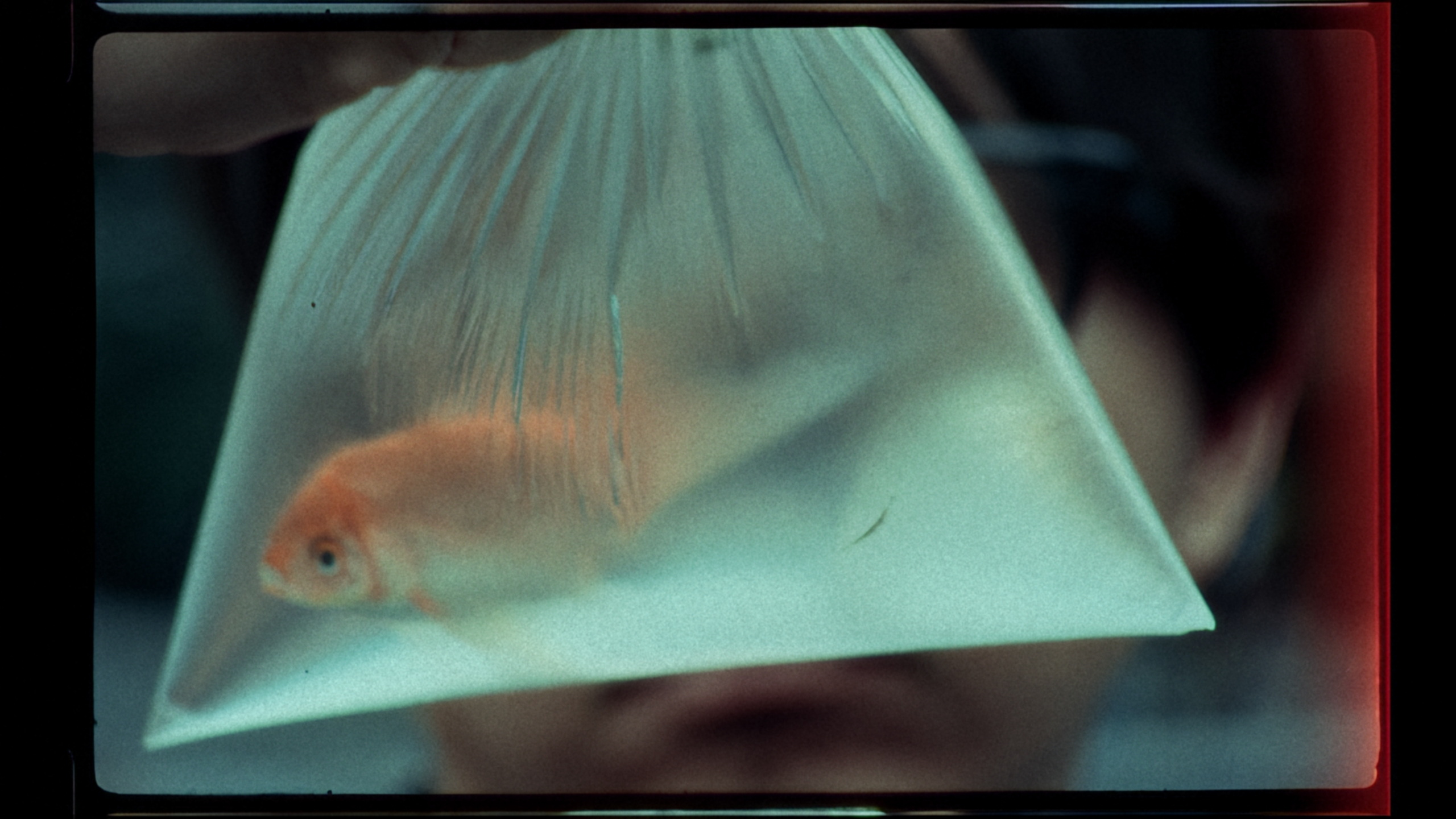 EMPTYSPACES_ONLINE_v2_01_03_25_07